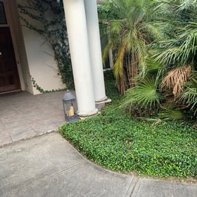 Bush Trimming by The lawn Guy reviewed on August 21, 2025