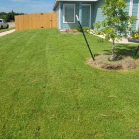 yard work by K&T Landscape reviewed on August 20, 2025