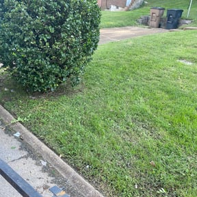 Bush Trimming by MTB lawn care reviewed on August 16, 2025