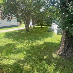 yard maintenance by AJ Prosper Clean and Tidy Janitorial and Lawn Care LLC reviewed on August 20, 2025