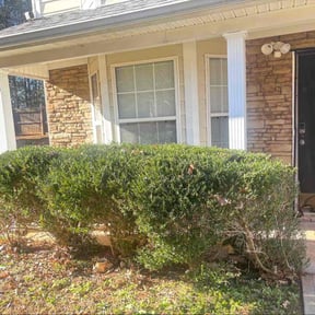 Bush Trimming by Stack Lawn Care and More LLC reviewed on December 25, 2025