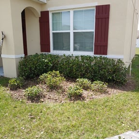 Bush Trimming by BLC3 LLC / Turf Guys reviewed on August 18, 2025