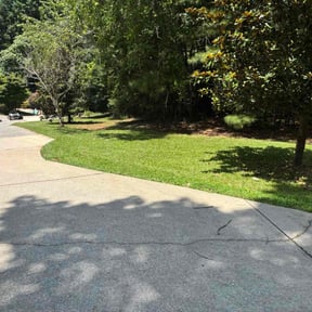 gardening service by Smith's Services reviewed on August 15, 2025