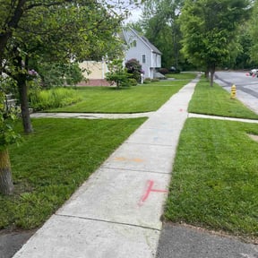 lawn care by Caswell companies llc reviewed on August 18, 2025