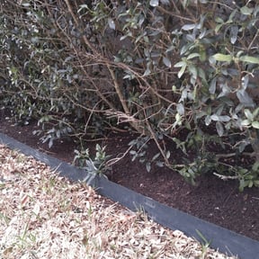 Leaf Removal by Star Landscaping reviewed on October 1, 2025