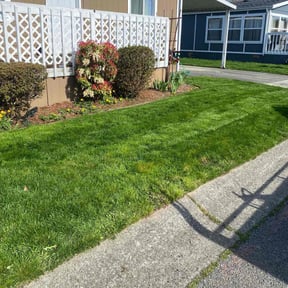 grass maintenance by Undercut Lawn Care reviewed on September 17, 2024