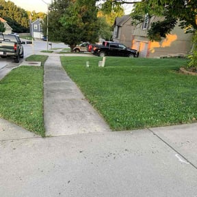 yard care by Total Ground Care LLC reviewed on November 27, 2025