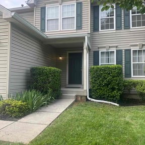 Flower Bed Weeding by Cool Cutz reviewed on August 18, 2025