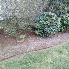 Flower Bed Weeding by Wrights handyman services reviewed on August 20, 2025