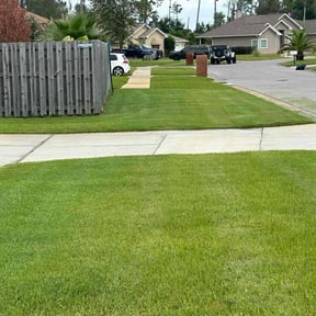 grass maintenance by Smitty’s Lawn Service reviewed on August 9, 2024