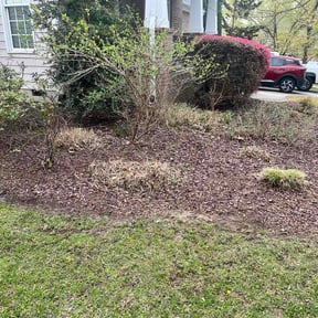 Bush Trimming by Stack Lawn Care and More LLC reviewed on March 26, 2026