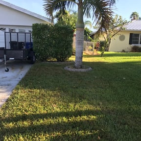 Bush Trimming by MRB Solutions reviewed on August 15, 2025