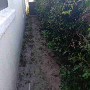 Leaf Removal by Harry's Champion Landscaping reviewed on June 10, 2026