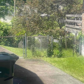Bush Trimming by D&D Landscaping reviewed on August 18, 2025