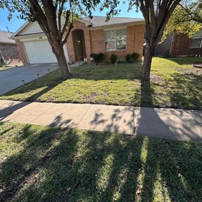 grass maintenance by Xtreme Installs reviewed on August 21, 2025