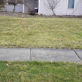 Leaf Removal by Flores Landscaping Services reviewed on September 17, 2025