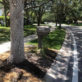 residential landscaping by Sunny Days Landscape reviewed on August 13, 2025