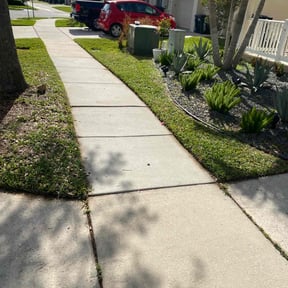 yard service by Medlyn Services L.L.C reviewed on August 18, 2025