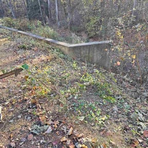 Bush Trimming by LOCAL Landscaping &amp; Lawn Maintenance reviewed on November 18, 2025