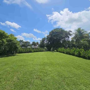 landscaping by Green Dream reviewed on December 4, 2025