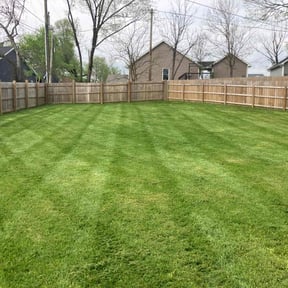 yard service by Giron Tree Services LLC reviewed on August 16, 2025