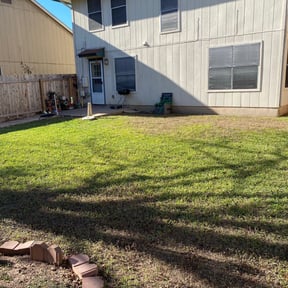 Leaf Removal by The One for Four Plus Services reviewed on September 11, 2025