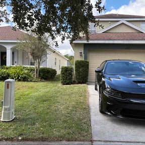 Bush Trimming by Joeys grass cutting llc reviewed on November 10, 2025