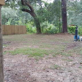 Leaf Removal by Graceful Garden Lawn Care llc reviewed on October 2, 2025