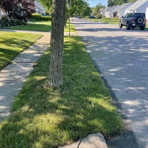 landscaping services by Smith's Services reviewed on August 15, 2025