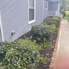 Bush Trimming by Shawn’s mowing reviewed on August 17, 2025
