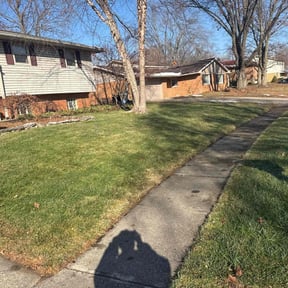 Leaf Removal by Snodgrass Tree Care LLC reviewed on August 27, 2026