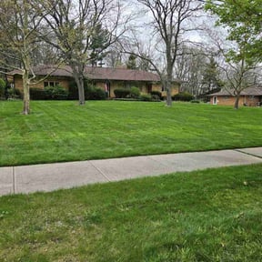 landscape maintenance by Chucks Cutz LLC reviewed on August 19, 2025