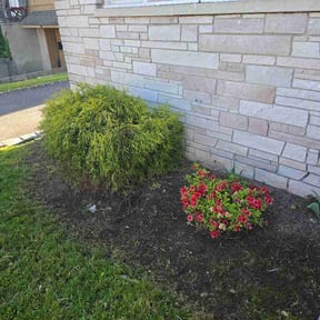 Flower Bed Weeding by Lucas Lawn Care reviewed on May 10, 2025
