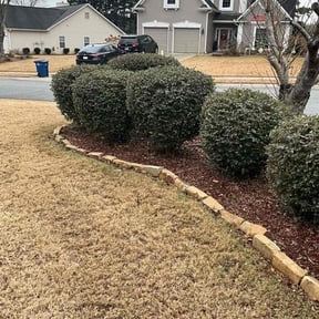 Bush Trimming by Murcia landscaping services reviewed on December 7, 2025