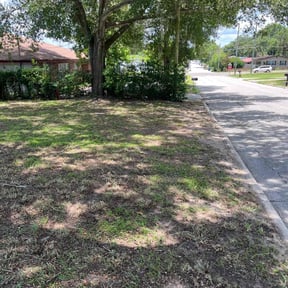 Leaf Removal by Valerio's Landscaping reviewed on August 15, 2025