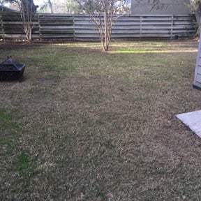 Leaf Removal by Yardscapes reviewed on August 16, 2025