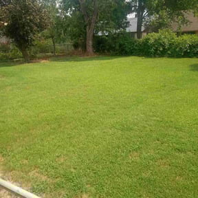 residential landscaping by Trevors Turf Care reviewed on August 17, 2025