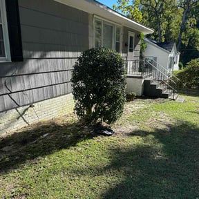 Bush Trimming by Gods Property Lawn & landscaping reviewed on August 21, 2025
