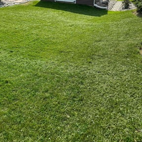 grass cutting by Arts Landscaping & Maintenance reviewed on April 24, 2024