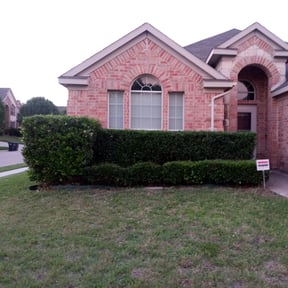 Bush Trimming by Negotiable Helping Hands Landscaping reviewed on August 15, 2025