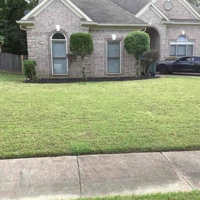 Bush Trimming by Swift Green Landscape Solutions reviewed on August 18, 2025