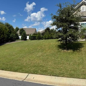 landscaping services by Lawn V Care reviewed on August 15, 2025