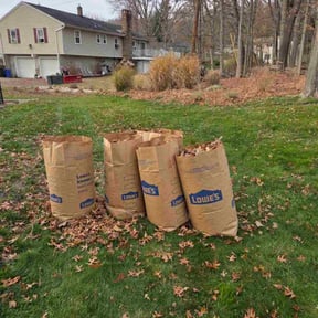 Leaf Removal by Perfect Touch reviewed on September 1, 2026