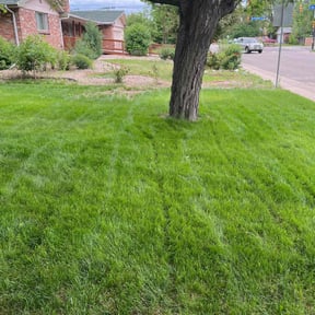 yard service by Santos Benites Landscaping  LLC reviewed on December 29, 2025