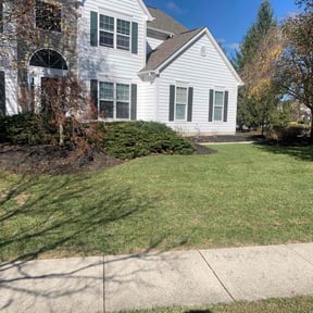 Leaf Removal by Tri-County Lawn &amp; Landscaping reviewed on August 17, 2025