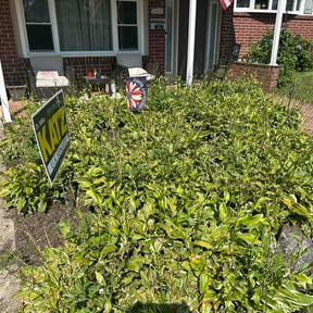Flower Bed Weeding by Mr. &amp; Mrs. Lawn Care reviewed on July 27, 2026