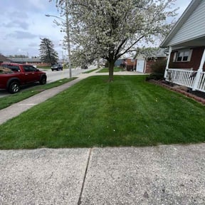 residential landscaping by Like A Bawse LLC reviewed on August 16, 2025