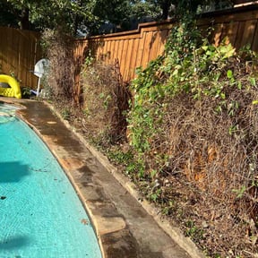 Bush Trimming by Electric Mowing reviewed on May 16, 2024