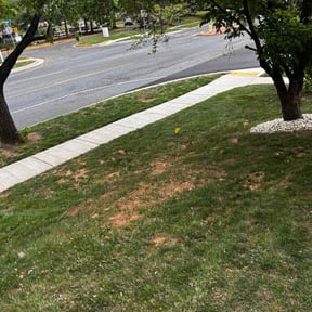 Leaf Removal by Ctx turf wars reviewed on August 3, 2026
