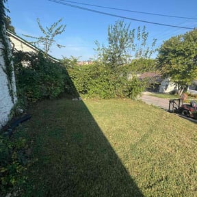 Bush Trimming by Lawnstarter reviewed on November 5, 2025